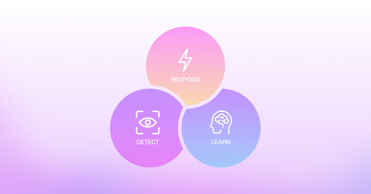 The Detect-Respond-Learn Loop